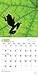 Frogs 2015 18 Month Calendar