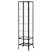 Ikea Klingsbo Glass Display Cabinet Lockable