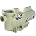Pentair 348025 SuperFlo 208-230 Volt High Performance 2HP Pump