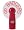 Wisconsin Badgers
