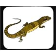 Mouse Pad with australia, monitor, lizard, dragon, komodo