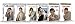 DVD : Columbo - Seasons 1-7