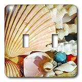 Sea Shells - Sea Shells - Light Switch Covers - double toggle switch