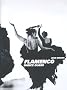 Le Flamenco, dance class