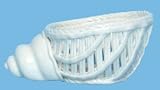 White Hand Made Ceramic Open Weave Pottery Turban Shell Bowl Small 5 1/2" x 4" x 2 1/2" Set of Two