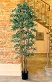 Bamboo Japanica Silk Tree 7 &acute; Natural - B001N0R1EO