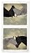 Hearts Desire Adeline Halverson Horses Western Kitchen Towel