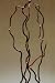 Green Earth Accents Corkscrew Willow 4-5 Feet Tall, Package of 5