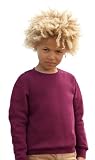 Fruit Of The Loom Childrens Set-In Sleeve Sweatshirt (12-13, Heather Grey)