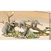 HALF PRICE TUSKERS - BALANCING ACT