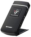 高濃度プラズマクラスター 25000搭載 イオン発生機  モバイルタイプ  ブラック系 IG-CM1-B