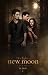 Twilight New Moon movie poster (Bella, Edward & Jacob) MINT