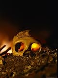 Close View of the Skull of a Neandertal Woman Photographic Poster Print by Kenneth Garrett, 48x64