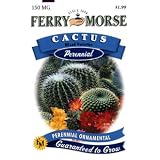 Ferry-Morse Perennial Flower Seeds 1022 Cactus - Mixed Varieties 150 Milligram Packet