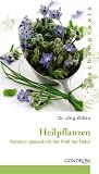 Heilpflanzen - Rundum gesund mit der Kraft der Natur - J&ouml;rg Zittlau