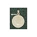 SE Louisiana Lions Solid 10K Gold School Of Nursing Pendant