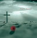 Calvary(在庫あり。)