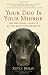 Your Dog Is Your Mirror: The Emotional Capacity of Our Dogs and Ourselves