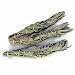 White Sage Smudge Stick Three Pack, 4 1/2" - 5"