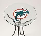 Miami Dolphins Glass Birdbath