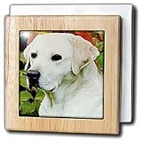 Light Cream Labrador - 6 Inch Tile Napkin Holder