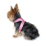 Sparkle Harness - Harness and Leash - Pink - 2X Small