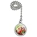 GRAPHICS & MORE Christmas Holiday Here Comes Santa Claus Graphic Ceiling Fan and Light Pull Chain