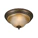Golden Lighting 3890-13 GB Meridian Flush Mount, Golden Bronze Finish