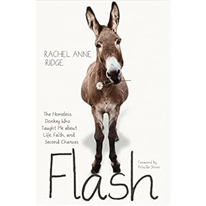 Flash: The Homeless Donkey Who Taught Me about Life, Faith, and Second Chances (Flash the Donkey)