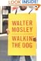 Walkin' the Dog
