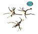 Hamiledyi Driftwood for Aquarium Reptiles Spider Wood Branches Natural Trunk Driftwood Tree Fish Tank Decoration 3 PCS