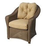 22 in. Throw Pillow