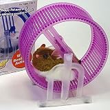 Pet Hamster Wheel Runner