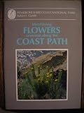 Identifying flowers common along the Coast Path