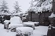 A Snowy Day at the FDR Memorial, Washington Photograph - Beautiful 16"x20" Photographic Print by Carol M. Highsmith