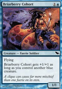 Magic: the Gathering - Briarberry Cohort - Shadowmoor