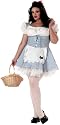 California Costume Women's Plus Size-Storybook Sweetheart