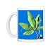 Photo Mugs of Passion flower leaf from Science Photo Library