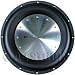 Rockford Fosgate T110D2 10 Subwoofer