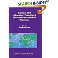 Natural and Laboratory Simulated Thermal Geochemical Processes by  R. Ikan