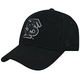 Zephyr Florida State Seminoles (FSU) Black DH Fitted Hat