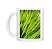 Green shoots of plant backlit by the sun Photo Mugs