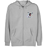 NCAA Delaware State Hornets Youth Ash Logo Applique Full Zip Hoody