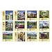 Milton Bradley 1000 Pieces Assorted Scenes Puzzle