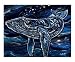 Humpback Whale Emerging Artists Giclee Poster Print by Leone Ardo, 20x16