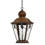 Pacifica Outdoor Hanging Lantern in Sienna