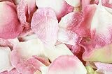 1.5oz Rose Pink Velvet Rose Petals
