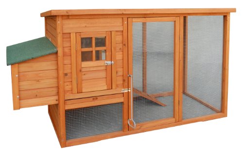Chicken Coop