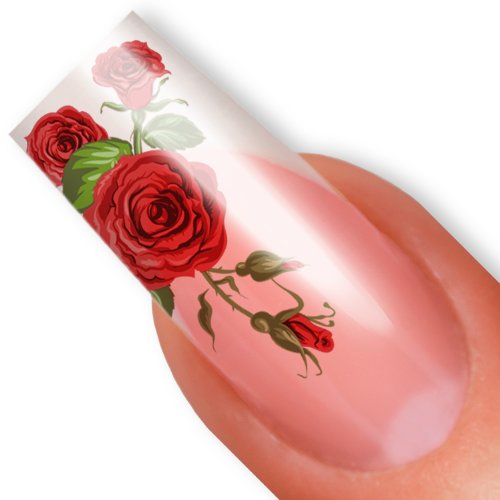 Nailart NAIL TATTOO STICKER - blossom / flower / rose - red / green