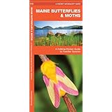 maine butterflies  moths a folding pocket guide to familiar species pocket naturalist guide series